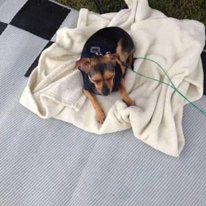 Meet your Posher, Randia